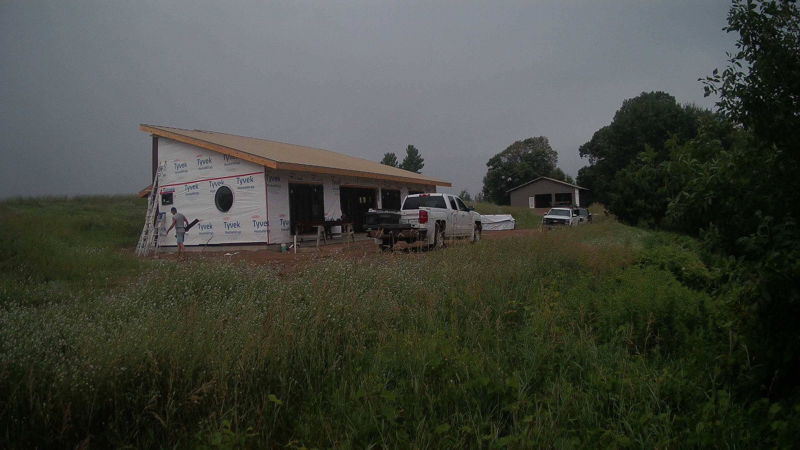 A photo from the field camera