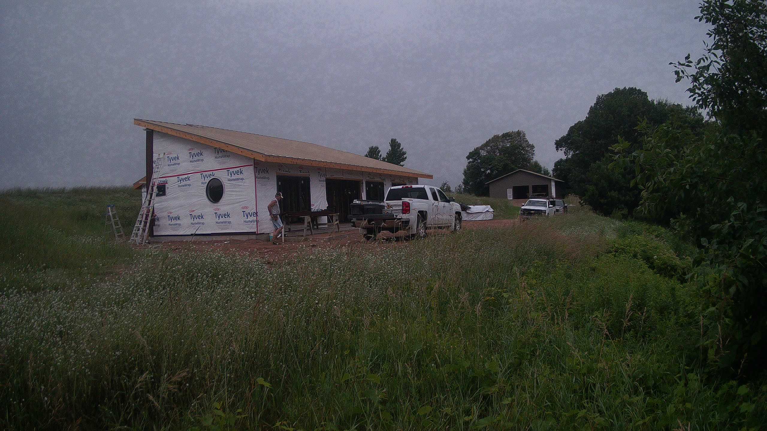 A photo from the field camera