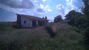 An older photo from the camera