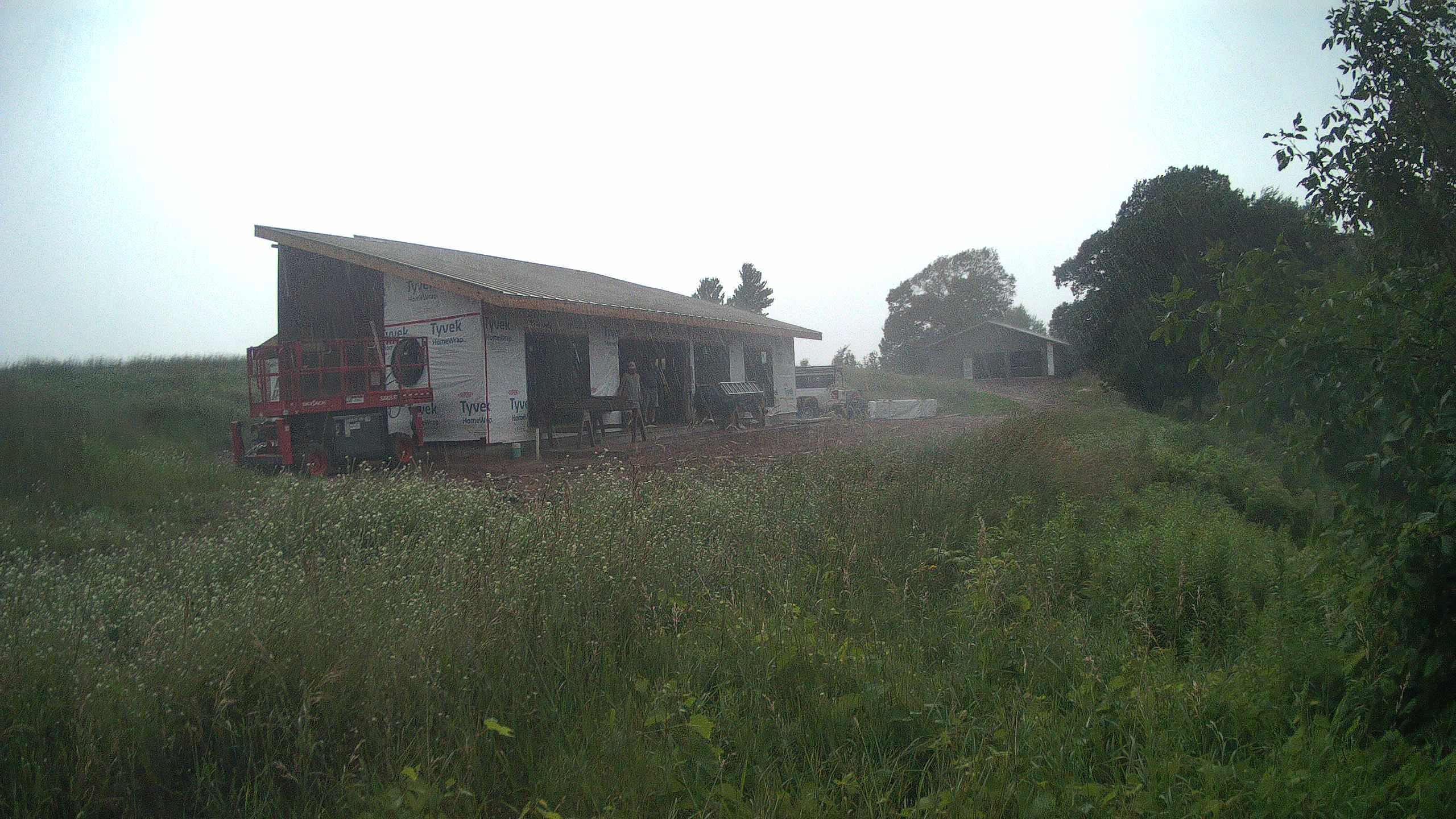 A photo from the field camera
