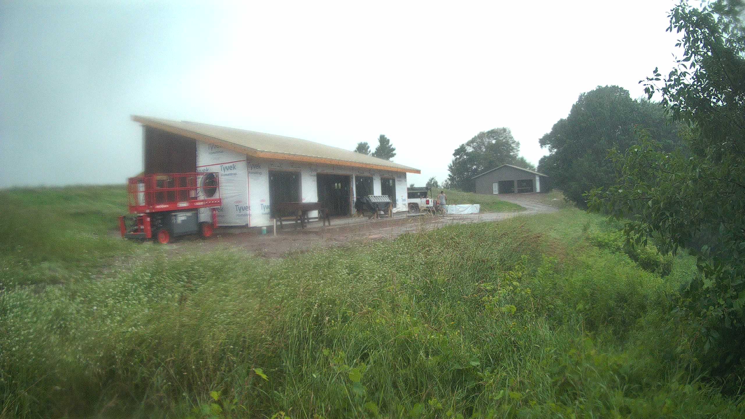 A photo from the field camera