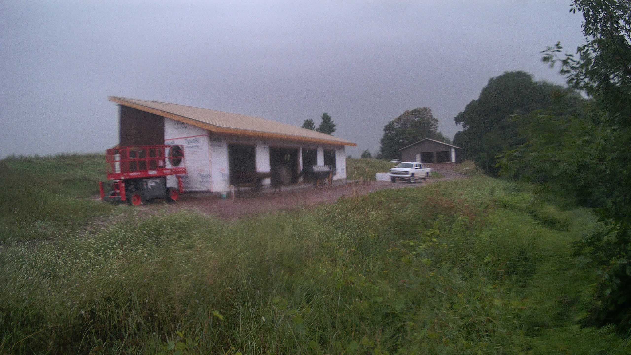 A photo from the field camera