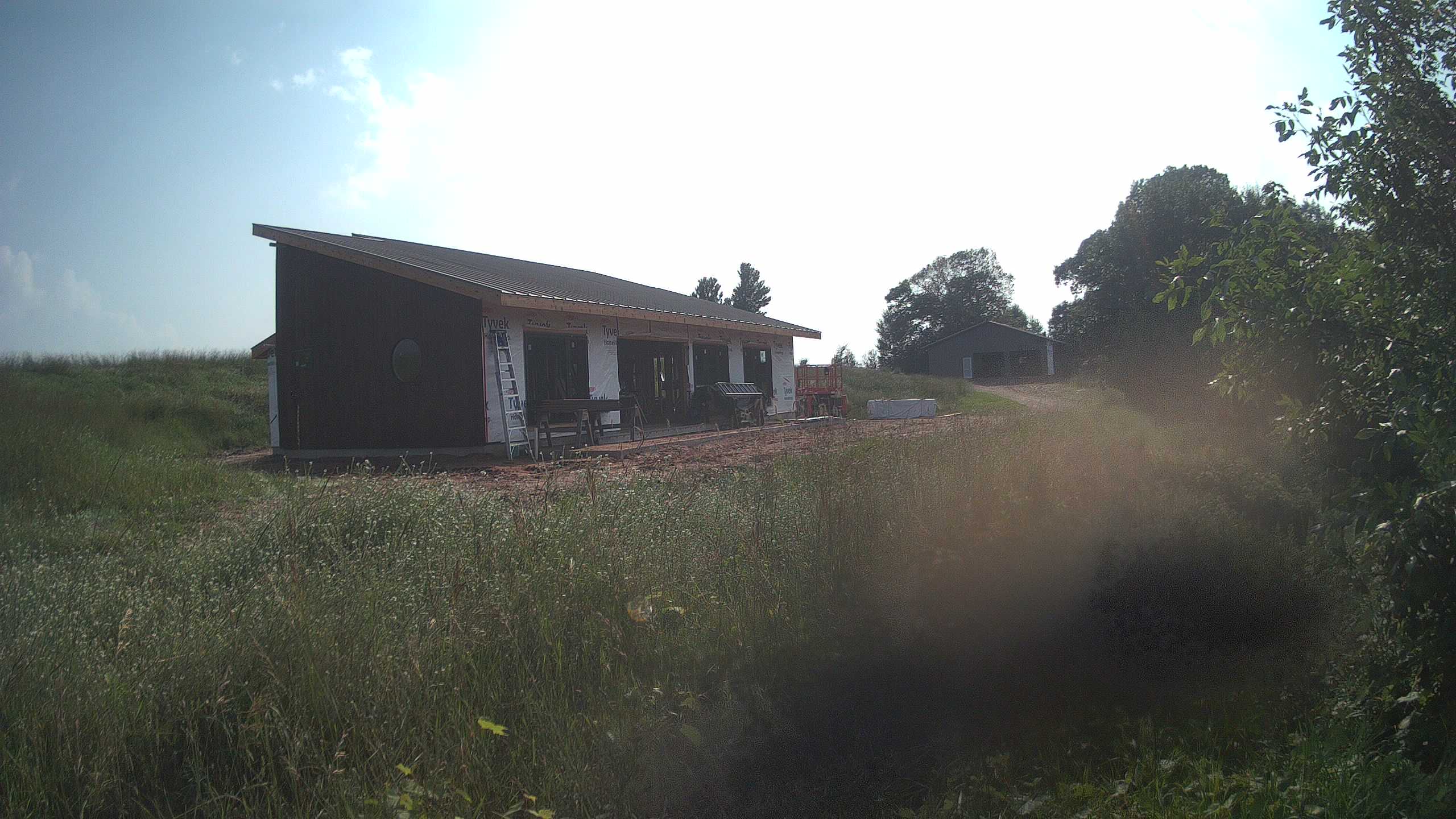 A photo from the field camera