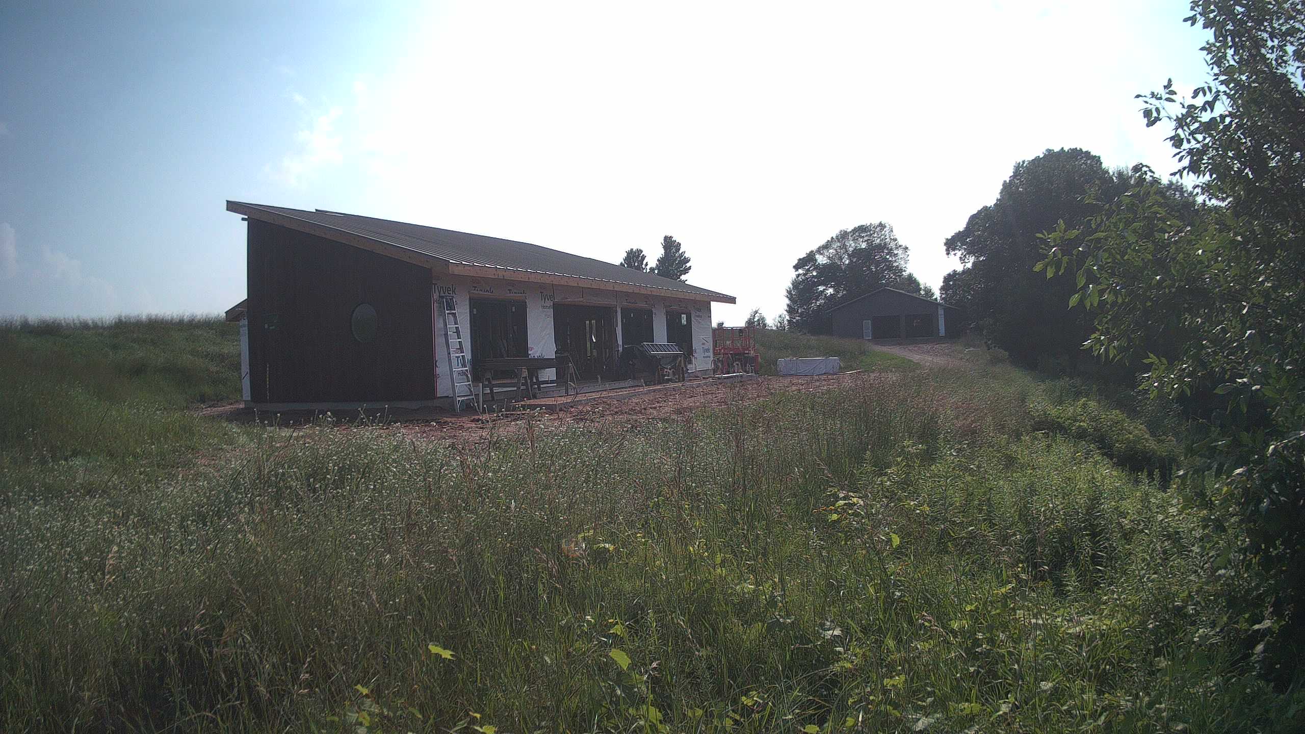 A photo from the field camera