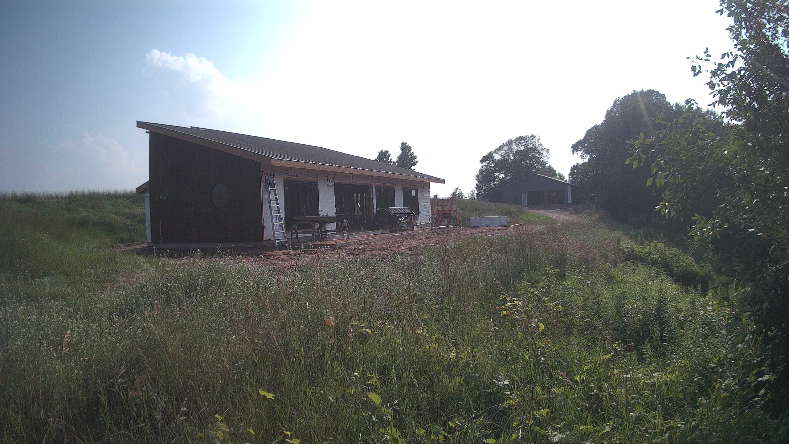 A photo from the field camera