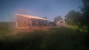 A newer photo from the camera
