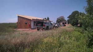 A newer photo from the camera