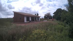A newer photo from the camera