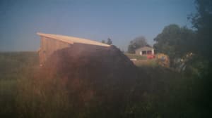 A newer photo from the camera
