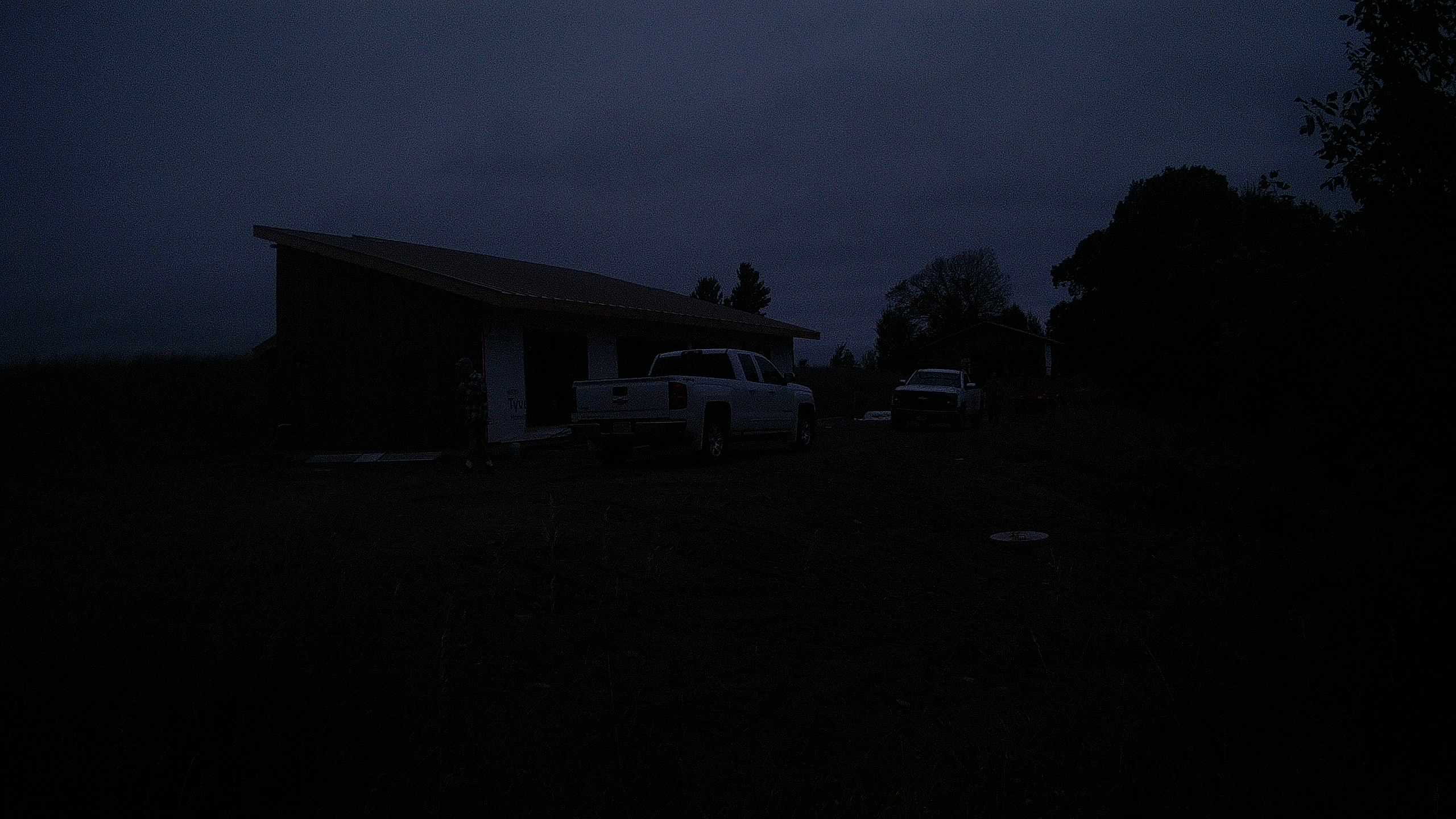 A photo from the field camera