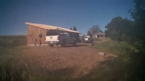 A newer photo from the camera