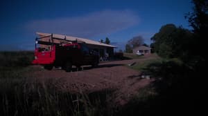 A newer photo from the camera