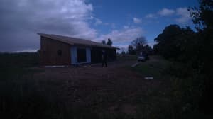 Currently viewing photo