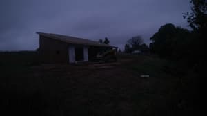 A newer photo from the camera