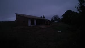 A newer photo from the camera