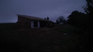 A newer photo from the camera