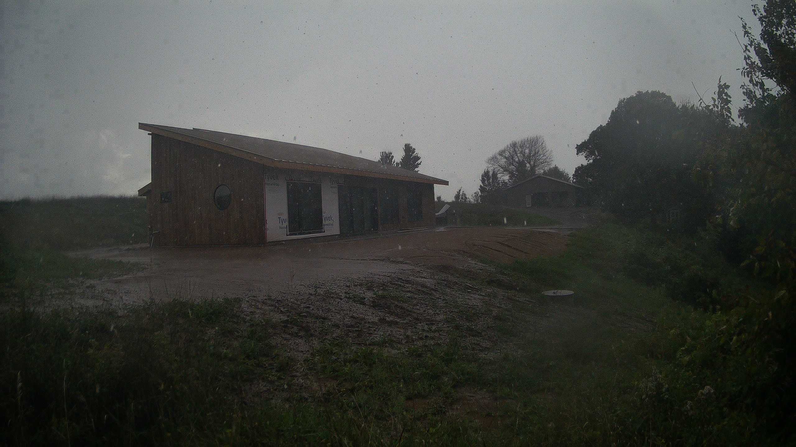 A photo from the field camera