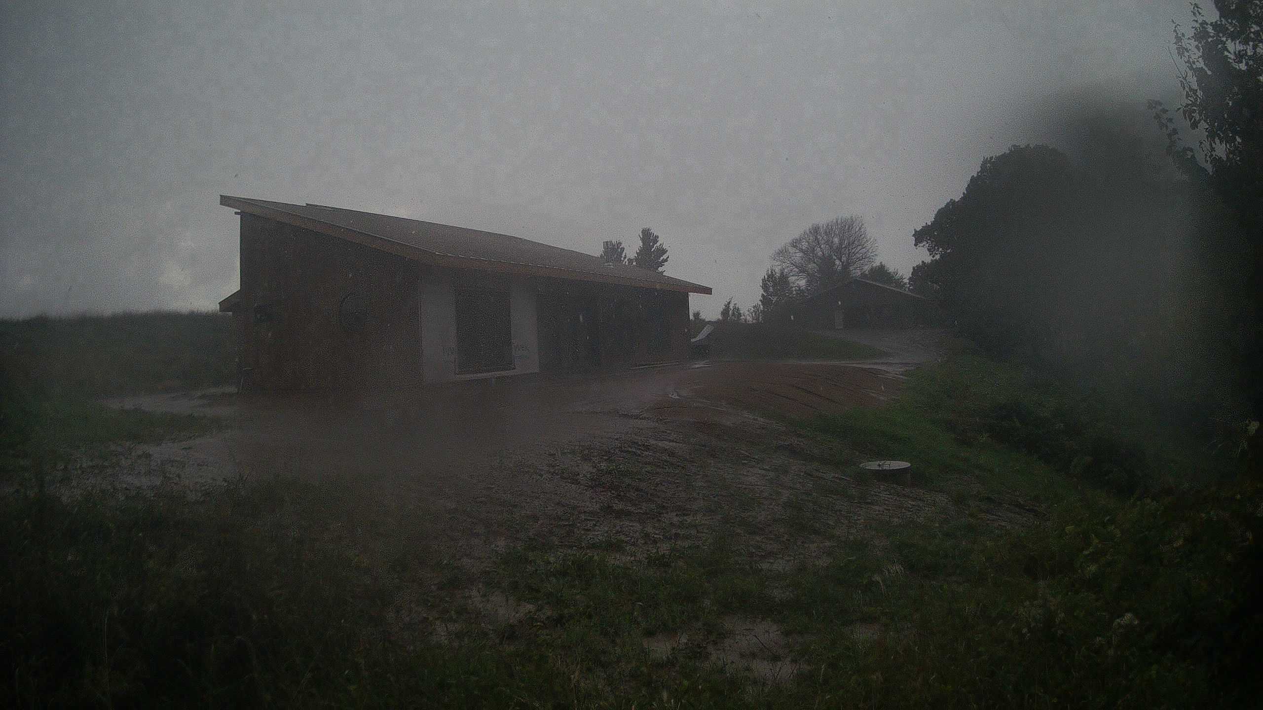 A photo from the field camera