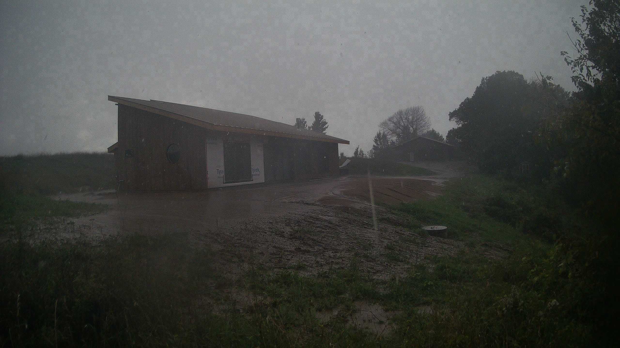 A photo from the field camera