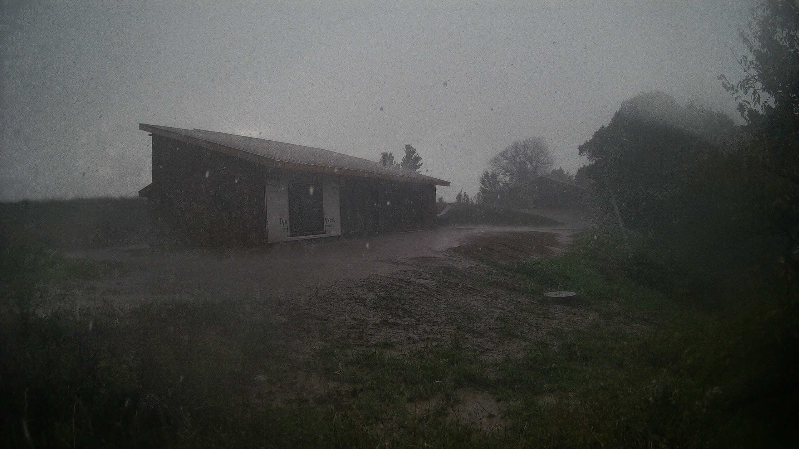 A photo from the field camera