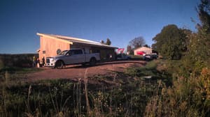 An older photo from the camera