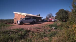 A newer photo from the camera
