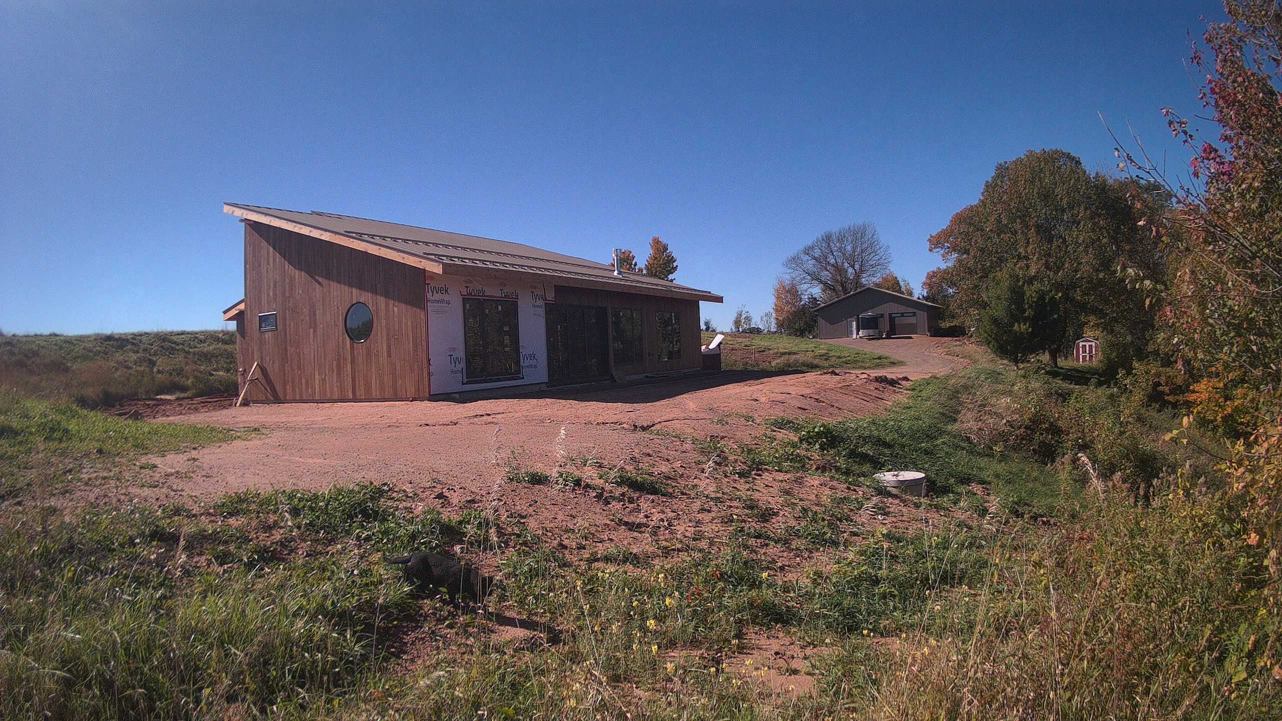 A photo from the field camera