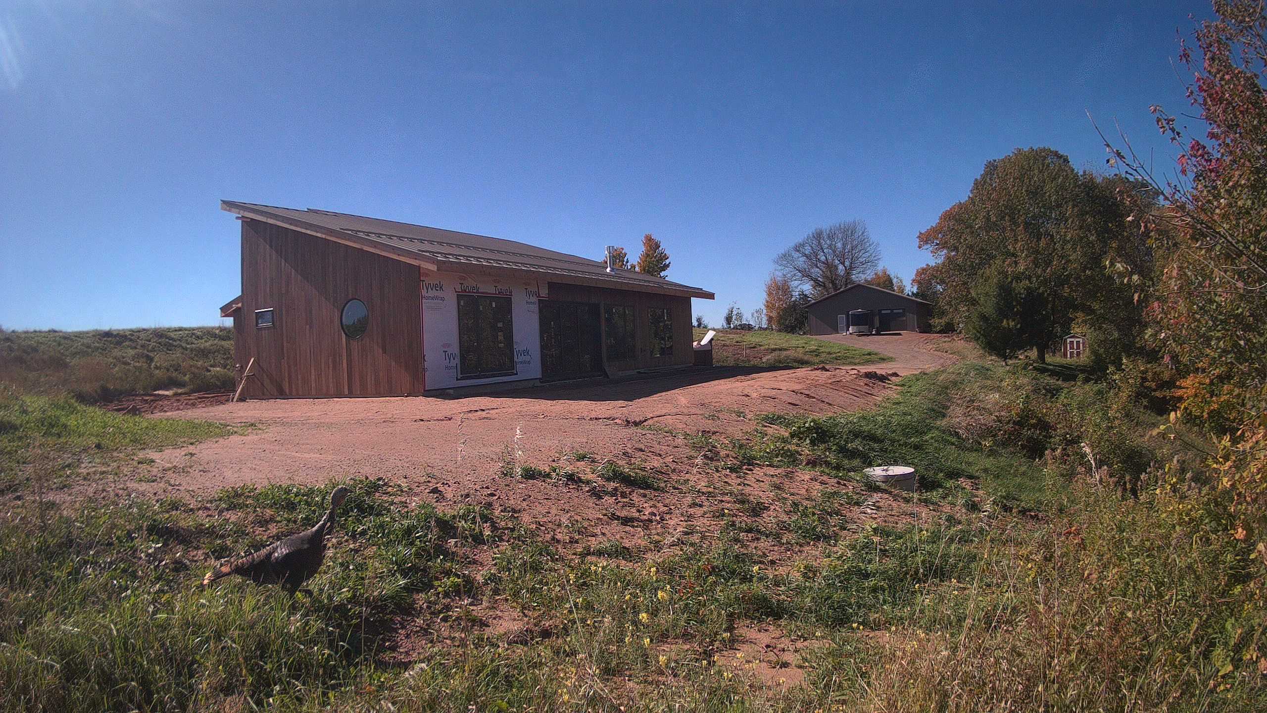 A photo from the field camera