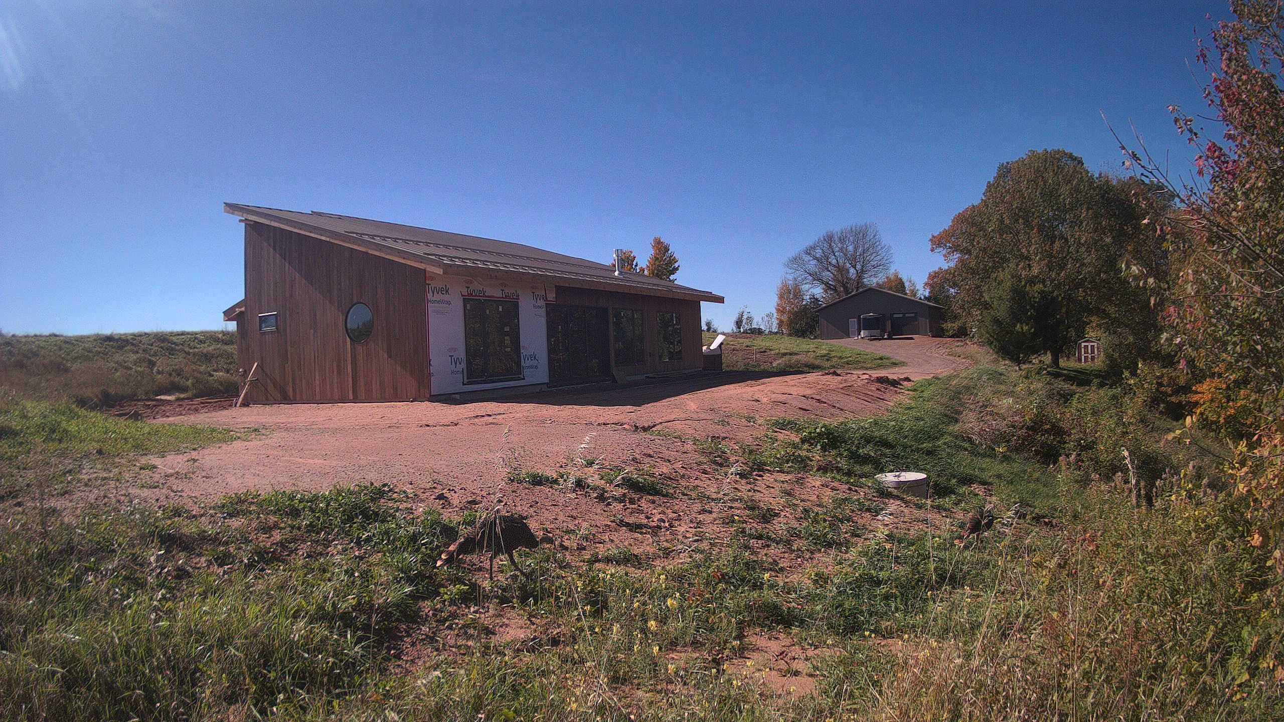 A photo from the field camera