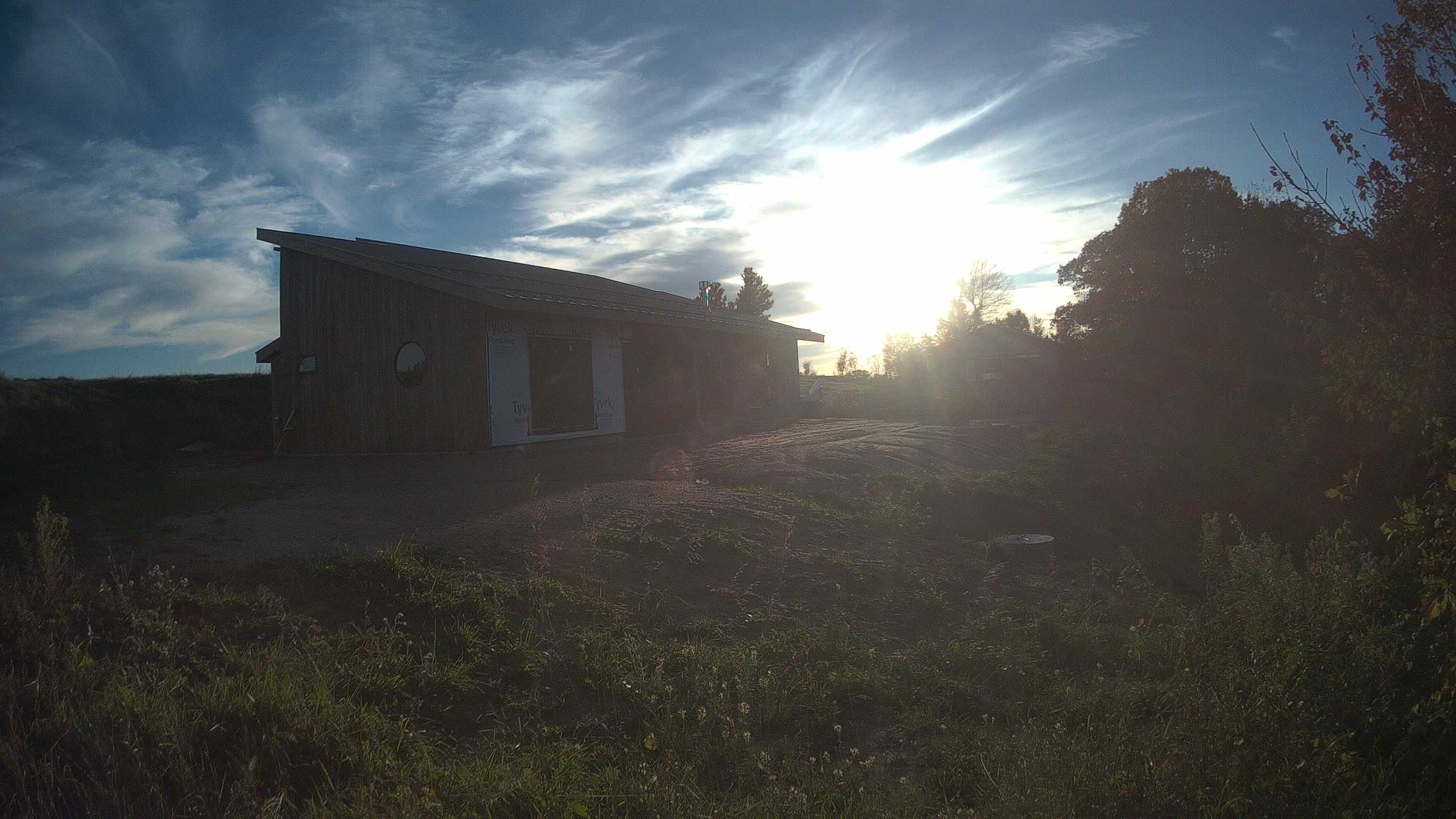 A photo from the field camera