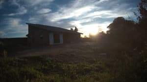 An older photo from the camera