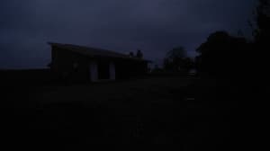 A newer photo from the camera