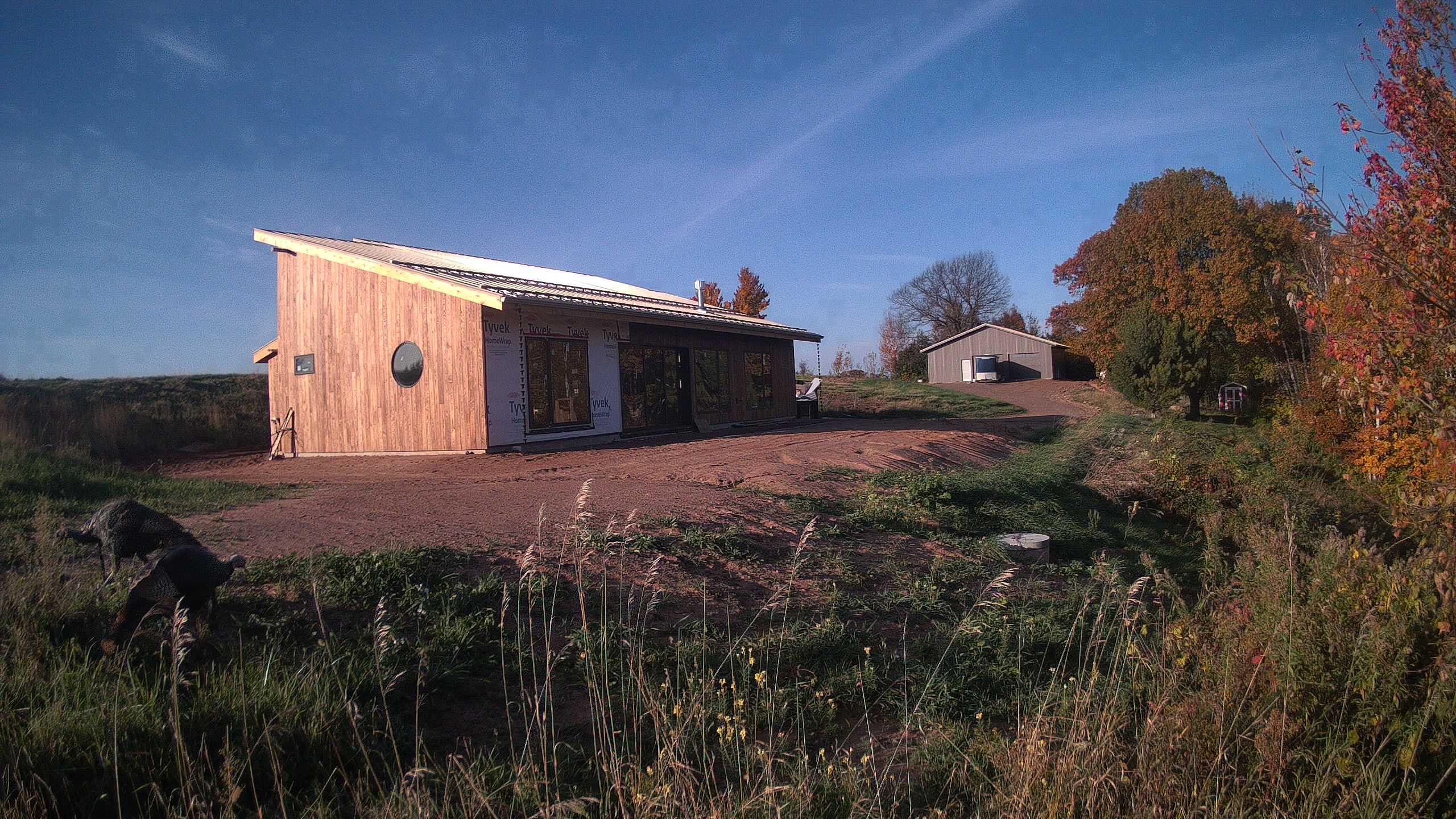 A photo from the field camera