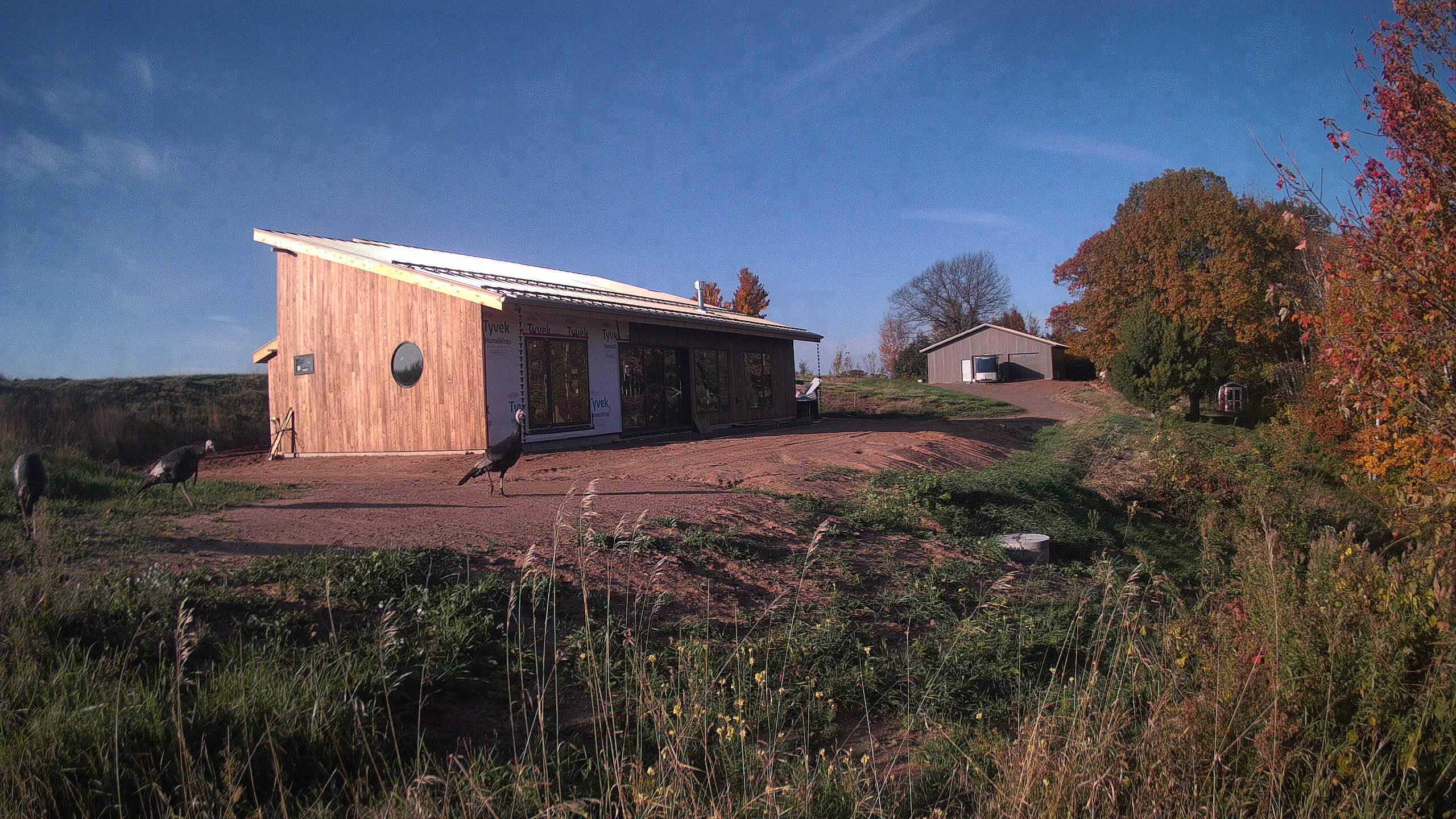 A photo from the field camera