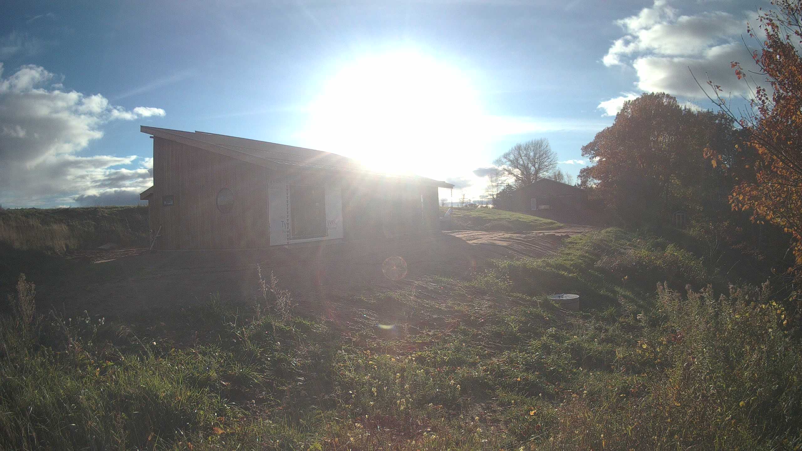 A photo from the field camera