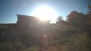 An older photo from the camera