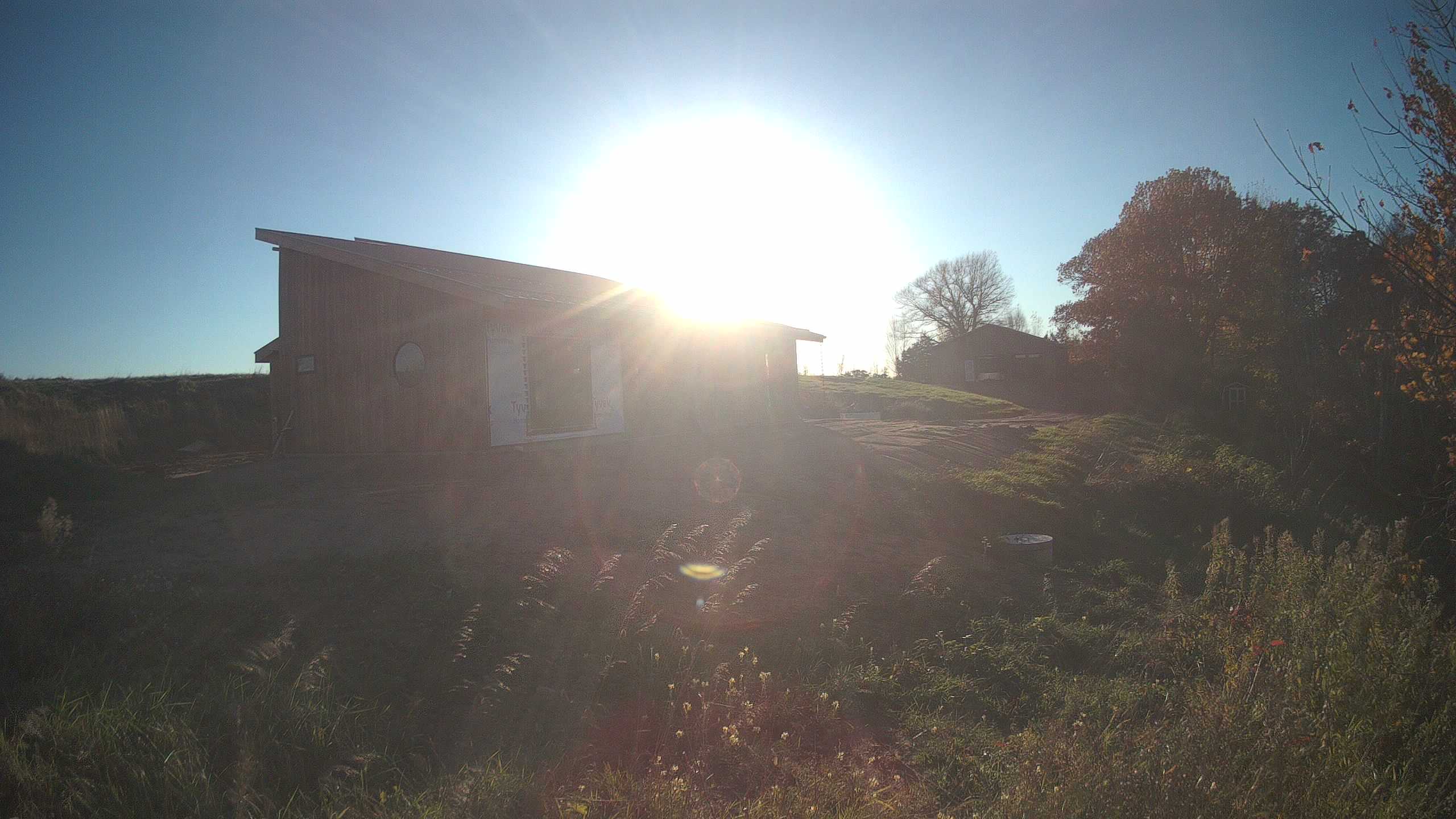 A photo from the field camera