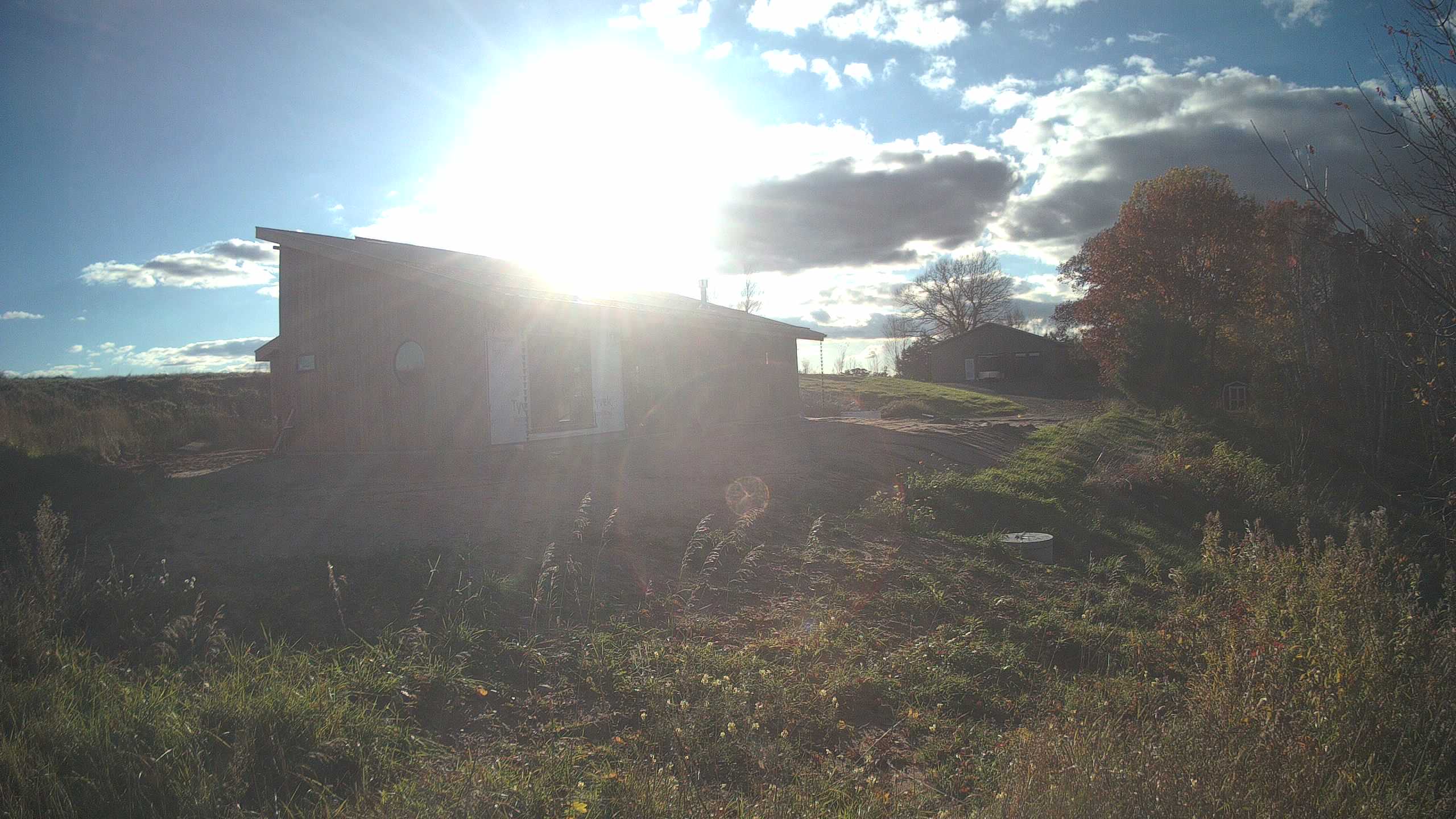 A photo from the field camera