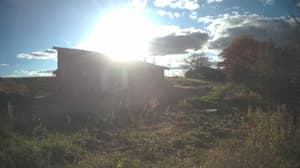 A newer photo from the camera