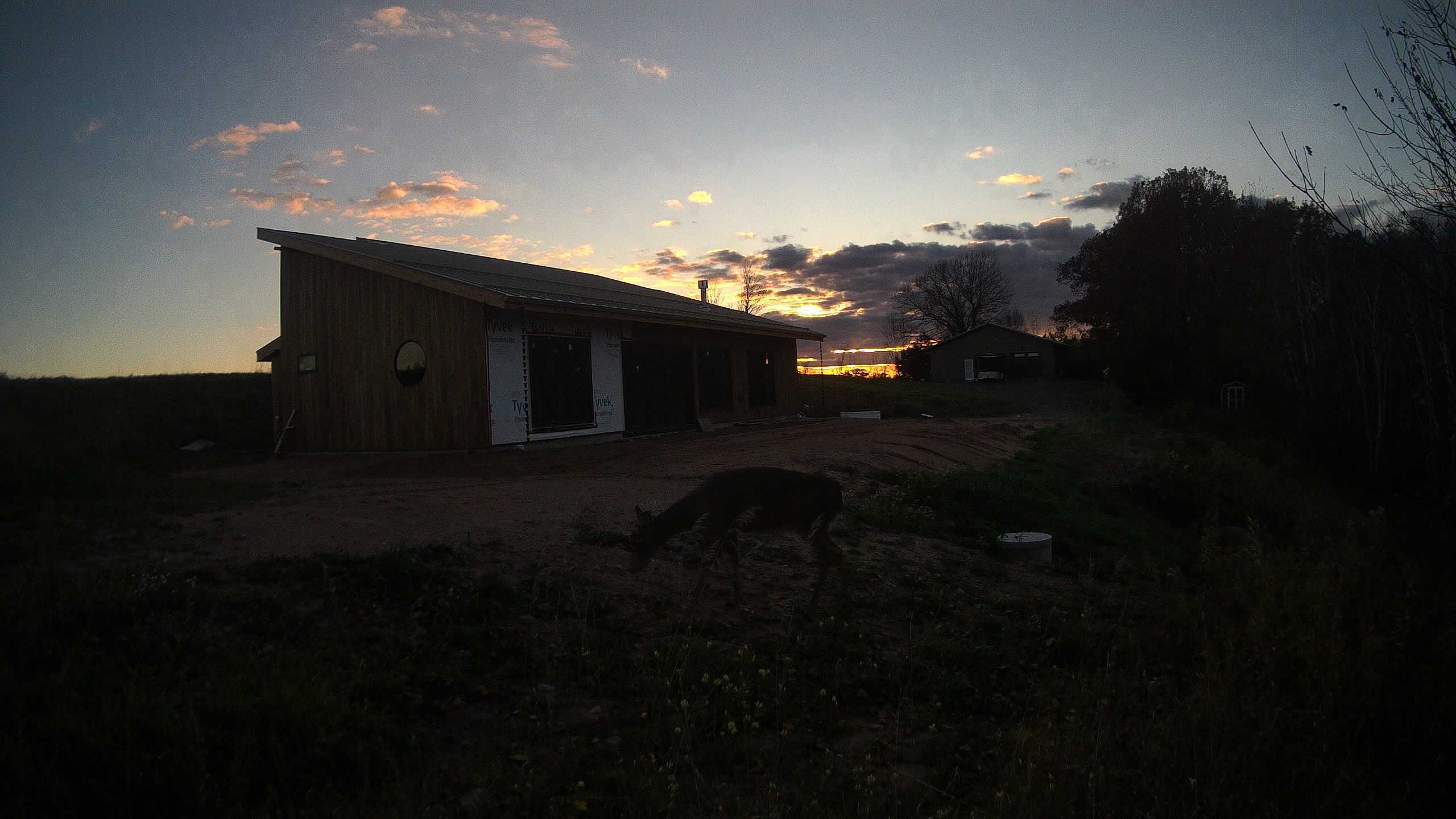 A photo from the field camera