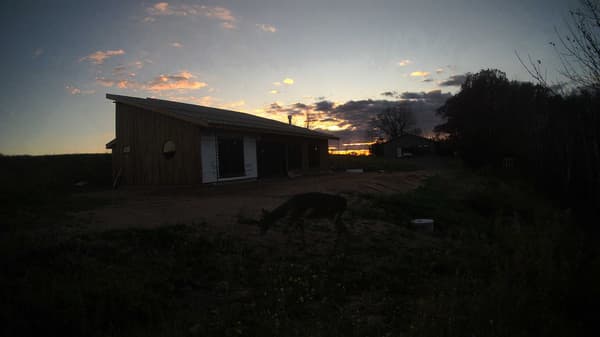 The field cam, Oct 29, 2025 at 3:44pm