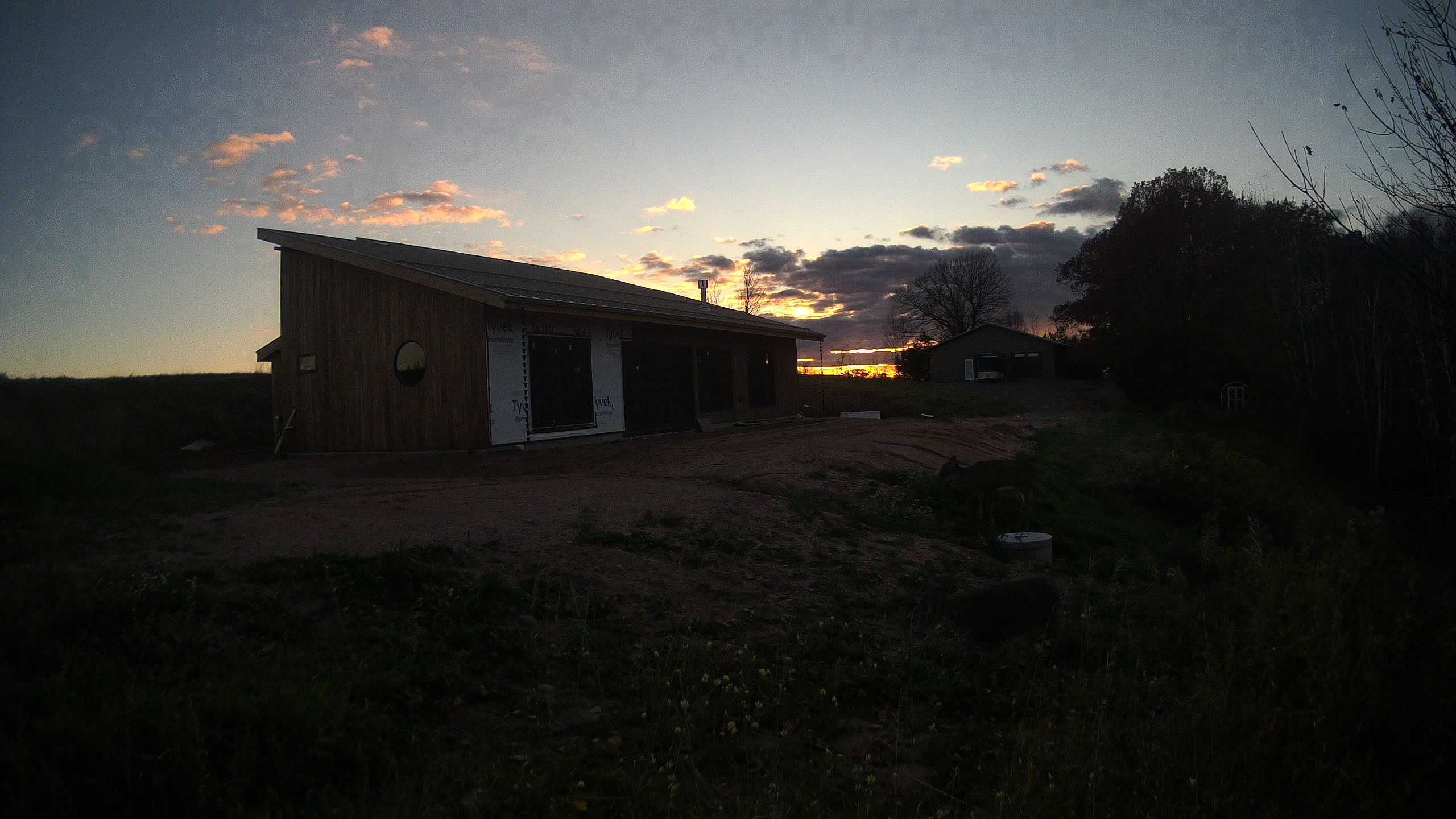 A photo from the field camera