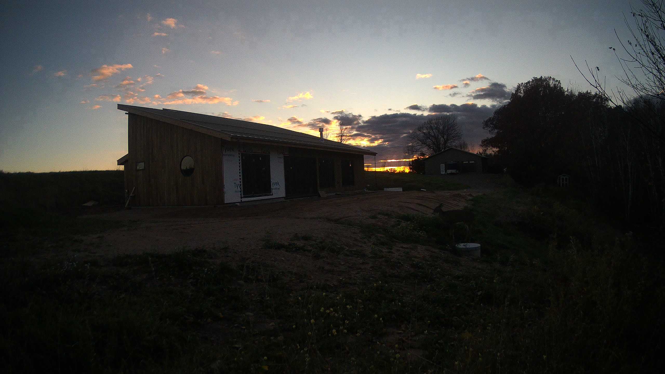 A photo from the field camera