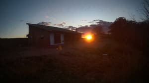 An older photo from the camera