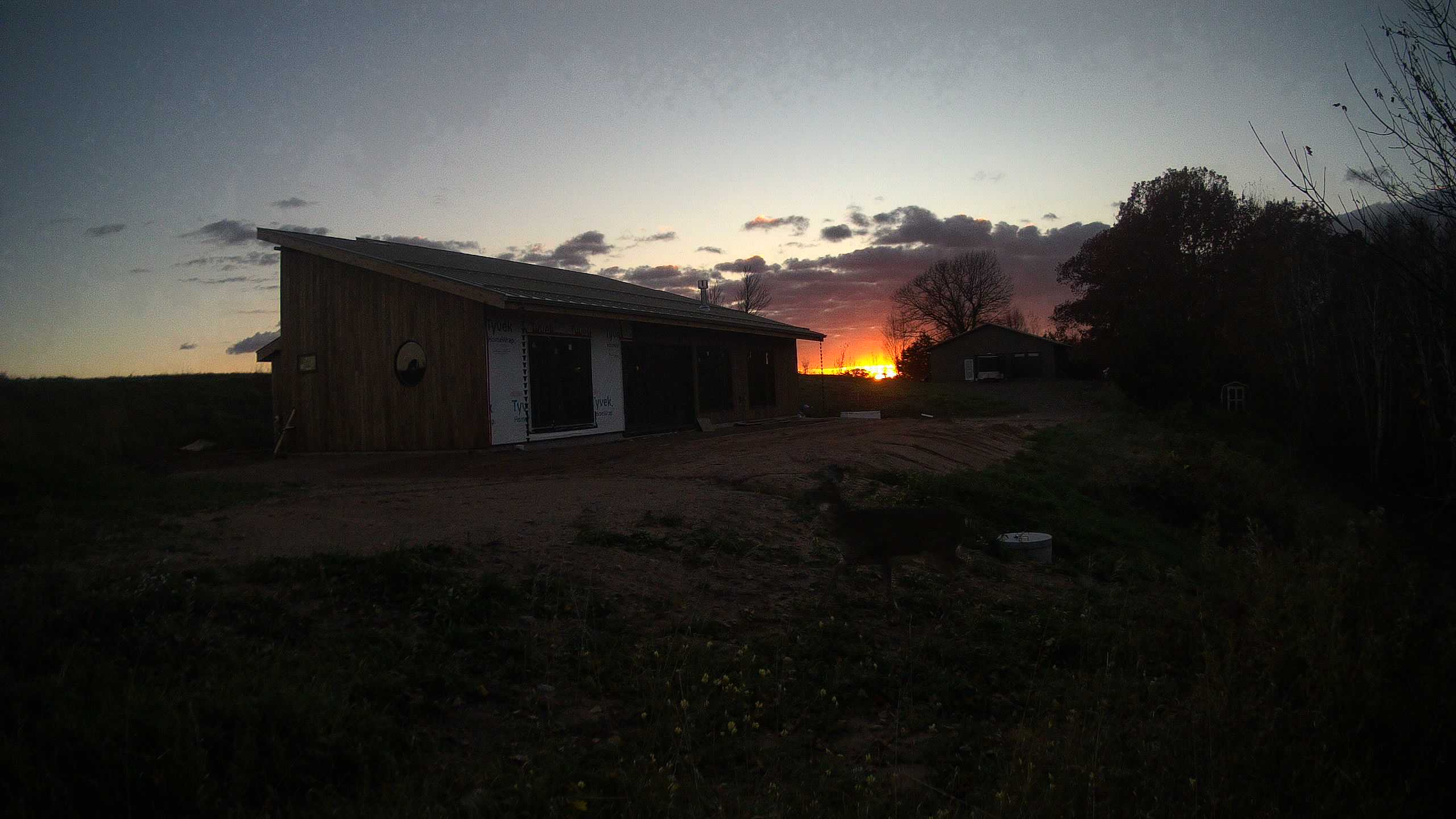 A photo from the field camera