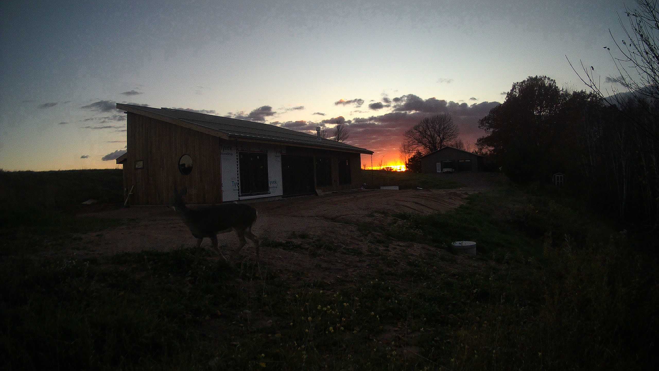 A photo from the field camera