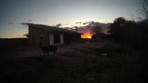 An older photo from the camera