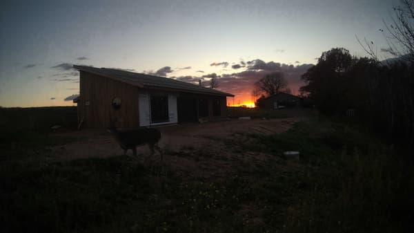 The field cam, Oct 29, 2025 at 3:55pm