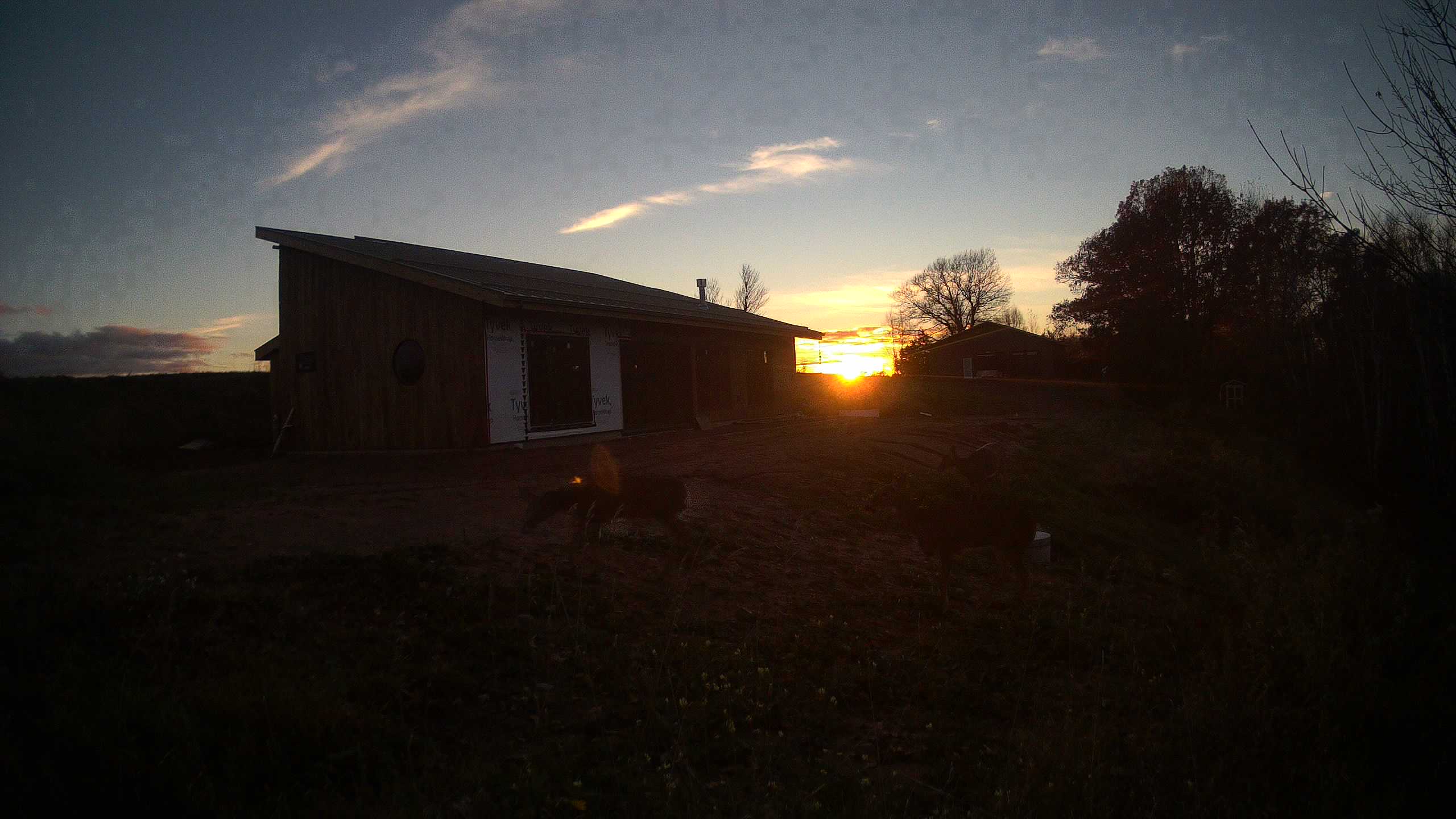 The field cam, Nov 1, 2025 at 3:48pm