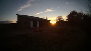 Currently viewing photo